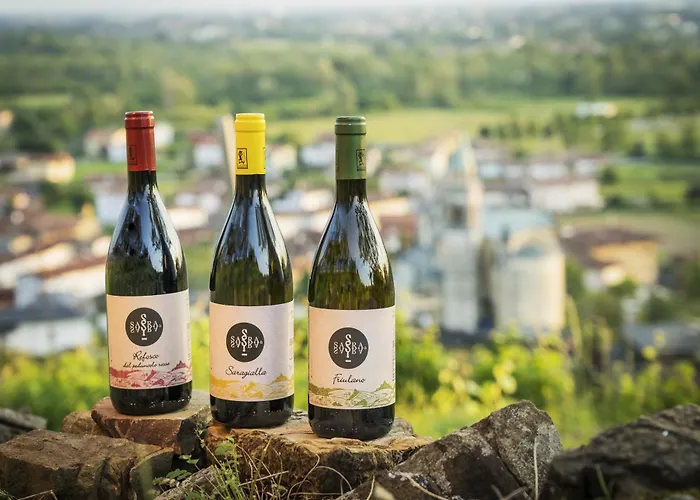 Sara&sara Agrituristico Panzió Savorgnano